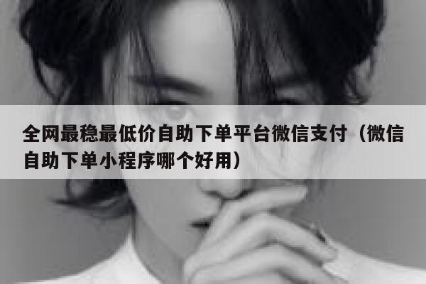 全网最稳最低价自助下单平台微信支付（微信自助下单小程序哪个好用） 第1张