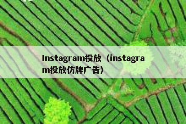 Instagram投放（instagram投放仿牌广告） 第1张