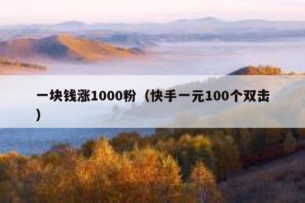 一块钱涨1000粉（快手一元100个双击） 第1张