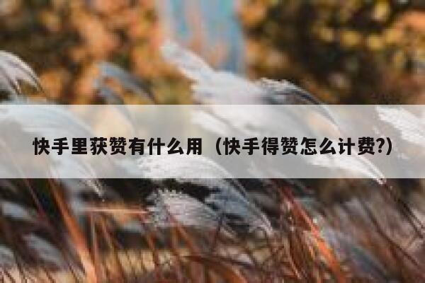 快手里获赞有什么用（快手得赞怎么计费?） 第1张