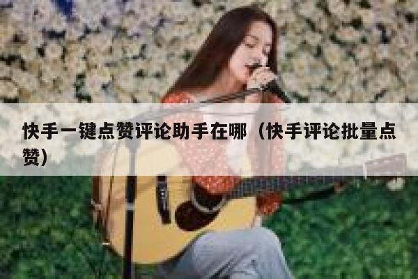 快手一键点赞评论助手在哪（快手评论批量点赞） 第1张