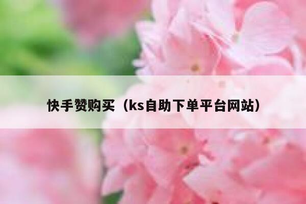 快手赞购买（ks自助下单平台网站） 第1张