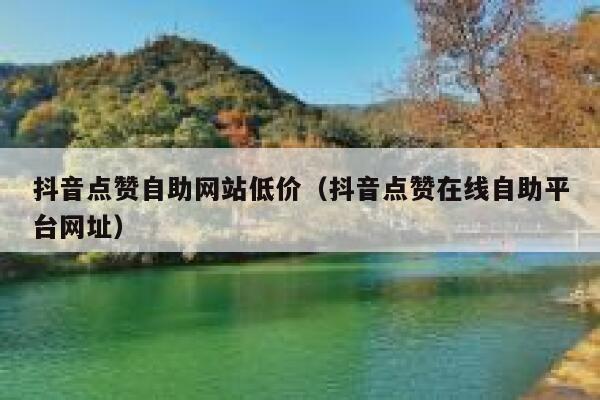 抖音点赞自助网站低价（抖音点赞在线自助平台网址） 第1张