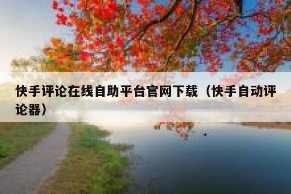 快手评论在线自助平台官网下载（快手自动评论器） 第1张