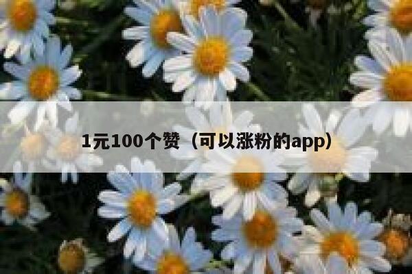 1元100个赞（可以涨粉的app） 第1张