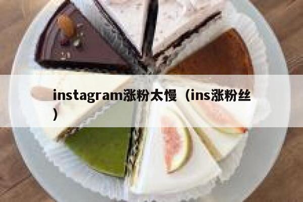 instagram涨粉太慢（ins涨粉丝） 第1张
