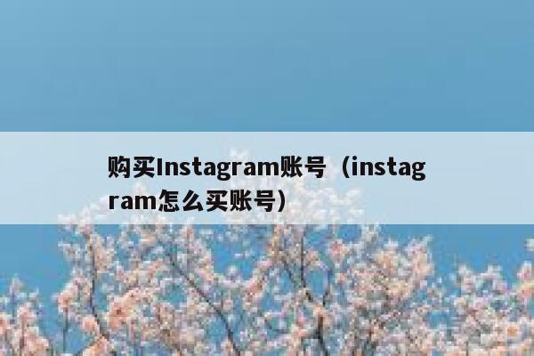 购买Instagram账号（instagram怎么买账号） 第1张