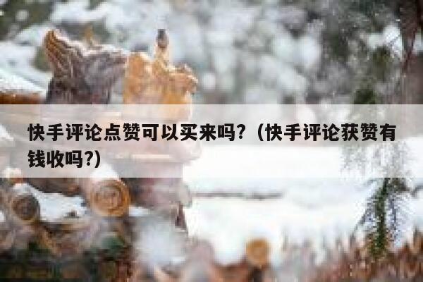 快手评论点赞可以买来吗?(快手评论获赞有钱收吗?) 第1张 快手评论点赞可以买来吗?(快手评论获赞有钱收吗?) 第1张