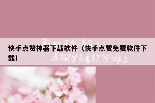 快手点赞神器下载软件（快手点赞免费软件下载） 第1张