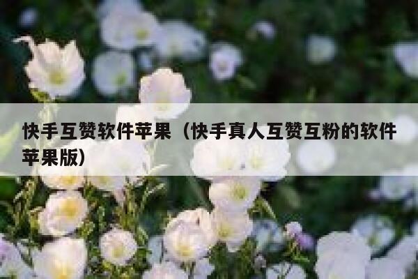 快手互赞软件苹果（快手真人互赞互粉的软件苹果版） 第1张