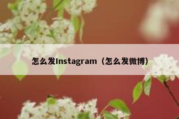 怎么发Instagram（怎么发微博） 第1张