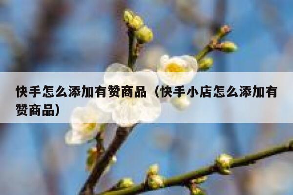 快手怎么添加有赞商品(快手小店怎么添加有赞商品) 第1张 快手怎么添加有赞商品(快手小店怎么添加有赞商品) 第1张