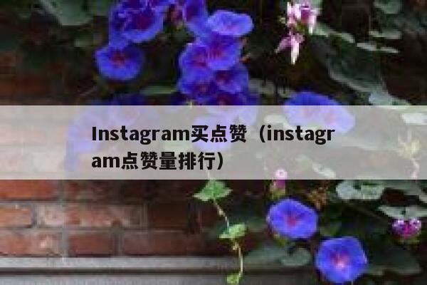 Instagram买点赞(instagram点赞量排行) 第1张 Instagram买点赞(instagram点赞量排行) 第1张