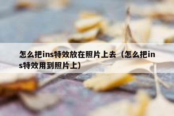 怎么把ins特效放在照片上去（怎么把ins特效用到照片上） 第1张