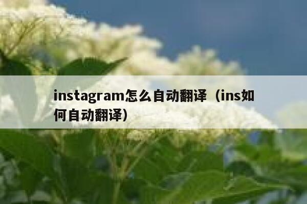 instagram怎么自动翻译（ins如何自动翻译） 第1张