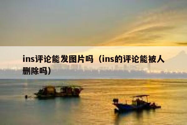 ins评论能发图片吗（ins的评论能被人删除吗） 第1张