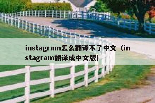 instagram怎么翻译不了中文(instagram翻译成中文版) 第1张 instagram怎么翻译不了中文(instagram翻译成中文版) 第1张
