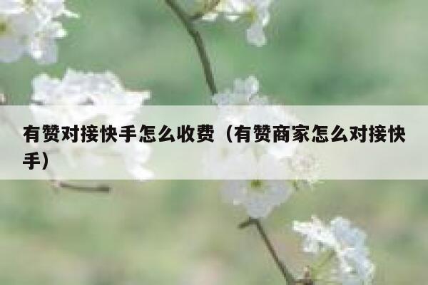 有赞对接快手怎么收费(有赞商家怎么对接快手) 第1张 有赞对接快手怎么收费(有赞商家怎么对接快手) 第1张