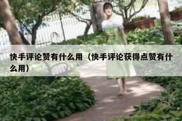 快手评论赞有什么用（快手评论获得点赞有什么用） 第1张