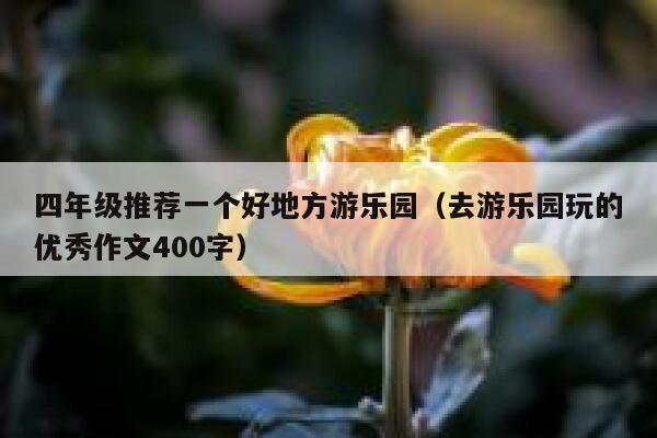 四年级推荐一个好地方游乐园（去游乐园玩的优秀作文400字） 第1张
