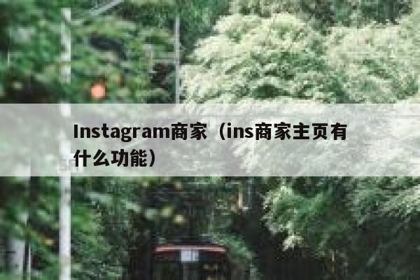 Instagram商家（ins商家主页有什么功能） 第1张