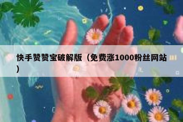 快手赞赞宝破解版（免费涨1000粉丝网站） 第1张
