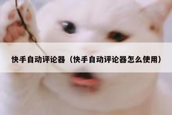 快手自动评论器(快手自动评论器怎么使用) 第1张 快手自动评论器(快手自动评论器怎么使用) 第1张