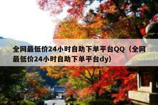 全网最低价24小时自助下单平台QQ（全网最低价24小时自助下单平台dy） 第1张