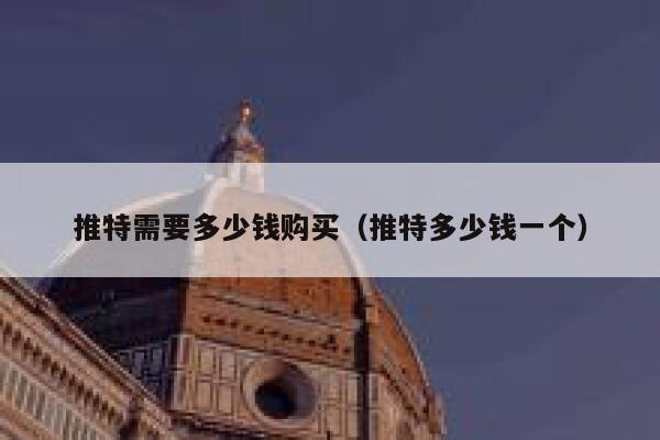 推特需要多少钱购买（推特多少钱一个） 第1张