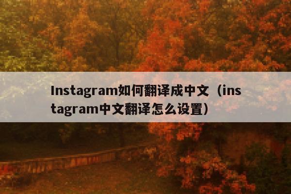 Instagram如何翻译成中文（instagram中文翻译怎么设置） 第1张