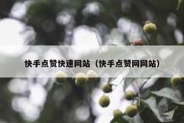 快手点赞快速网站（快手点赞网网站） 第1张
