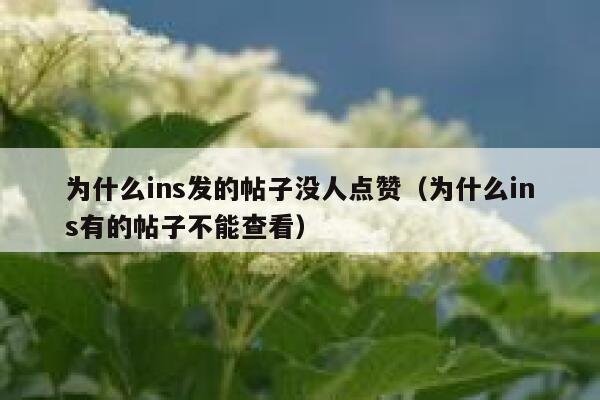 为什么ins发的帖子没人点赞(为什么ins有的帖子不能查看) 第1张 为什么ins发的帖子没人点赞(为什么ins有的帖子不能查看) 第1张