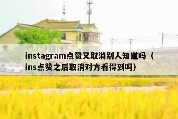 instagram点赞又取消别人知道吗（ins点赞之后取消对方看得到吗） 第1张