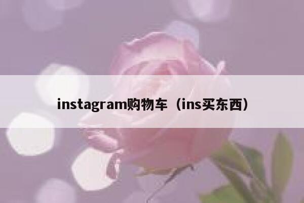 instagram购物车（ins买东西） 第1张