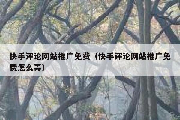 快手评论网站推广免费(快手评论网站推广免费怎么弄) 第1张 快手评论网站推广免费(快手评论网站推广免费怎么弄) 第1张