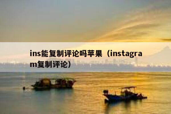 ins能复制评论吗苹果（instagram复制评论） 第1张