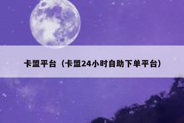 卡盟平台（卡盟24小时自助下单平台） 第1张