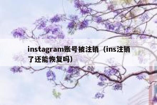 instagram账号被注销（ins注销了还能恢复吗） 第1张
