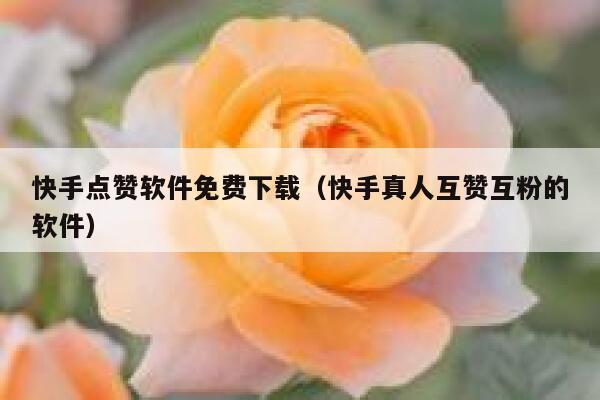 快手点赞软件免费下载（快手真人互赞互粉的软件） 第1张