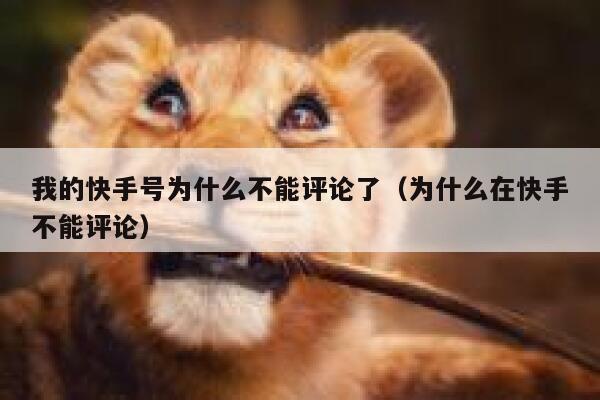 我的快手号为什么不能评论了(为什么在快手不能评论) 第1张 我的快手号为什么不能评论了(为什么在快手不能评论) 第1张