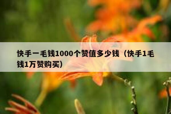 快手一毛钱1000个赞值多少钱（快手1毛钱1万赞购买） 第1张