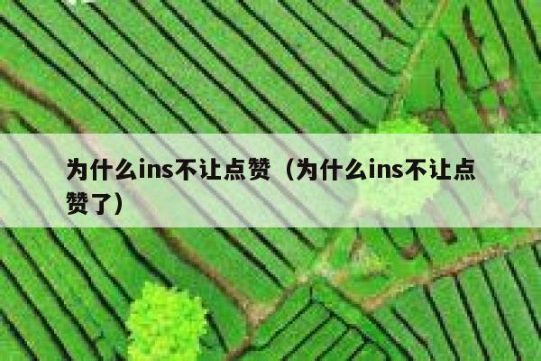 为什么ins不让点赞（为什么ins不让点赞了） 第1张