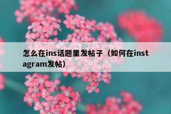 怎么在ins话题里发帖子（如何在instagram发帖） 第1张