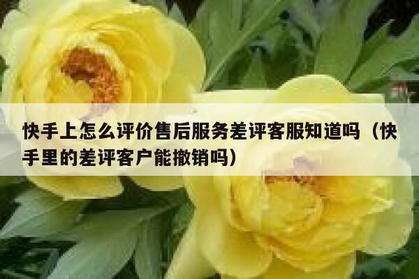 快手上怎么评价售后服务差评客服知道吗(快手里的差评客户能撤销吗) 第1张 快手上怎么评价售后服务差评客服知道吗(快手里的差评客户能撤销吗) 第1张