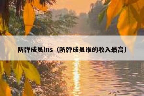 防弹成员ins（防弹成员谁的收入最高） 第1张
