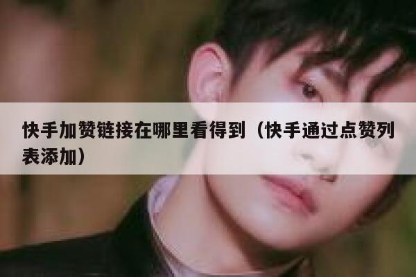 快手加赞链接在哪里看得到（快手通过点赞列表添加） 第1张