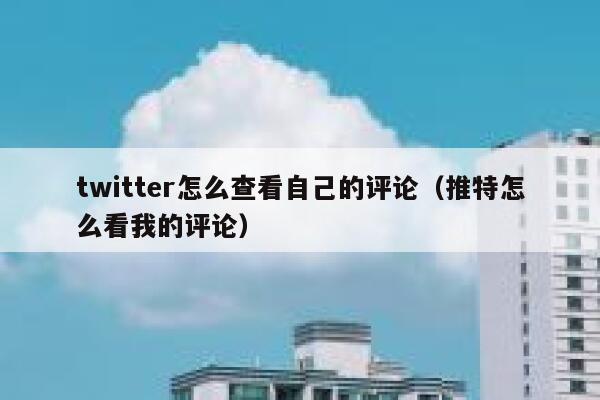 twitter怎么查看自己的评论（推特怎么看我的评论） 第1张