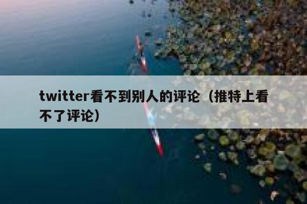 twitter看不到别人的评论(推特上看不了评论) 第1张 twitter看不到别人的评论(推特上看不了评论) 第1张