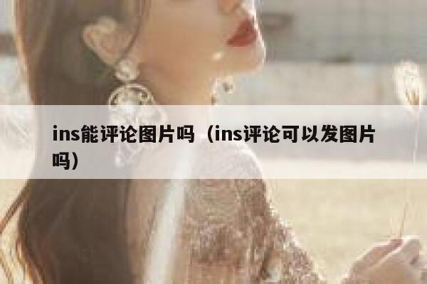 ins能评论图片吗(ins评论可以发图片吗) 第1张 ins能评论图片吗(ins评论可以发图片吗) 第1张
