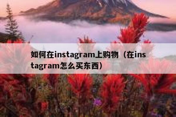 如何在instagram上购物(在instagram怎么买东西) 第1张 如何在instagram上购物(在instagram怎么买东西) 第1张